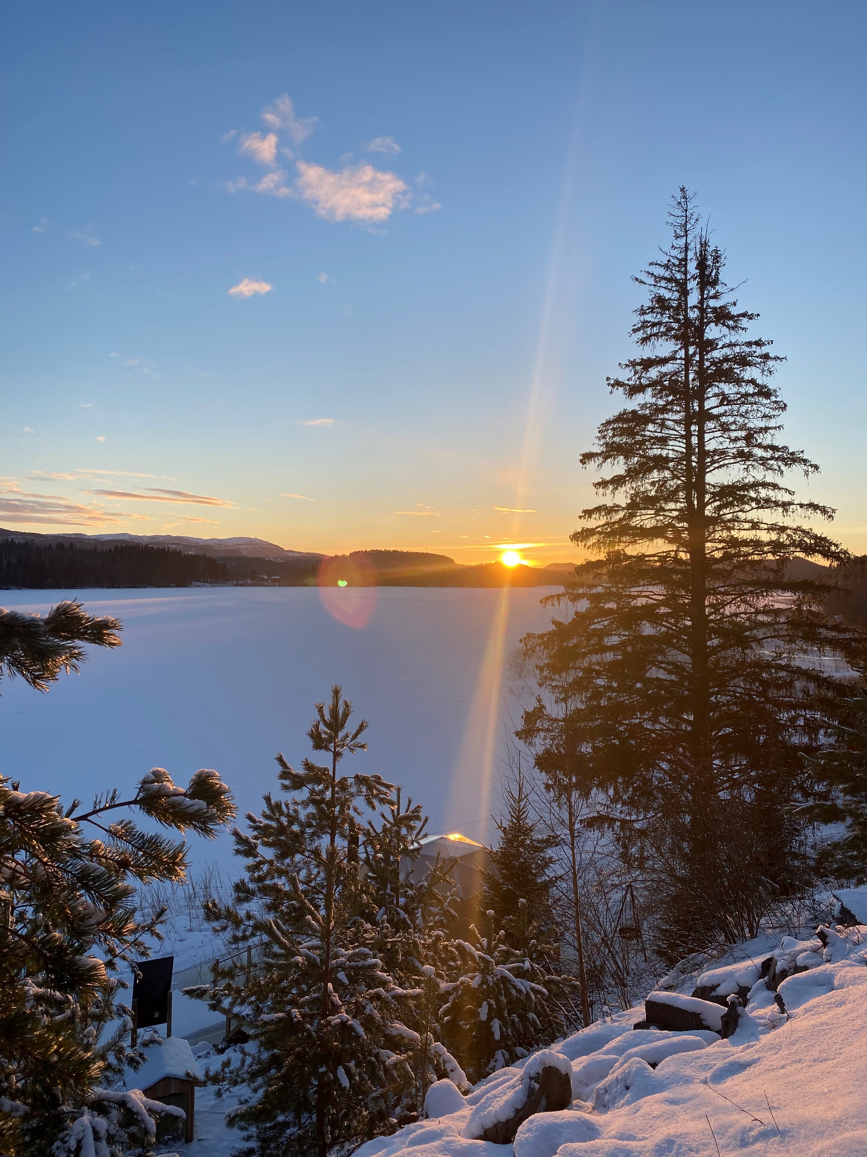 Dome vinter